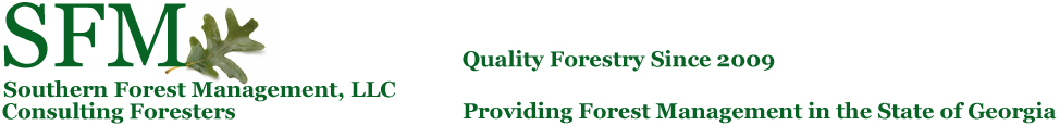 SFM Forestry Logo